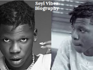 Seyi Vibez Biography