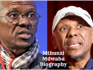 Mthunzi Mdwaba Biography