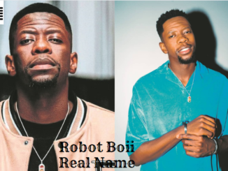 Robot Boii Real Name