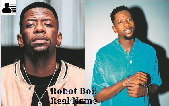 Robot Boii Real Name