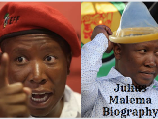 Julius Malema Biography