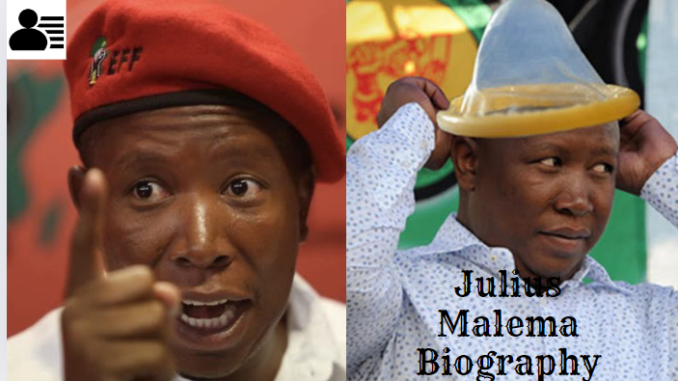 Julius Malema Biography