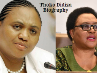 Thoko Didiza Biography