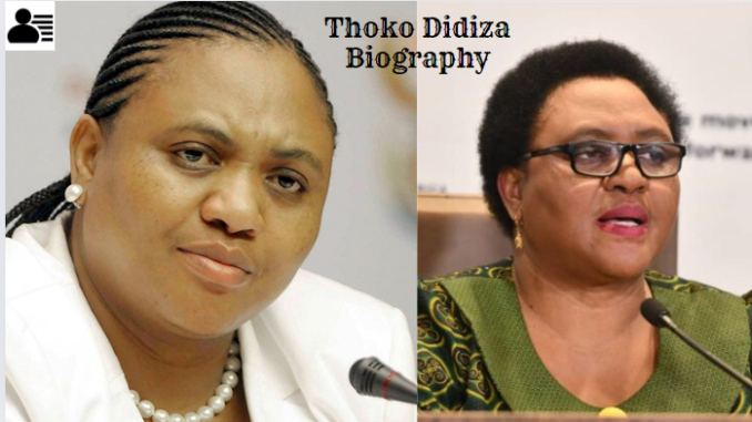 Thoko Didiza Biography