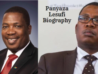 Panyaza Lesufi Biography